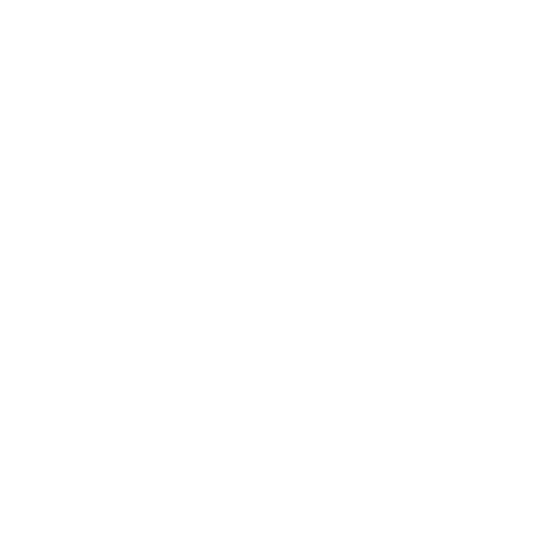 GetBruzz